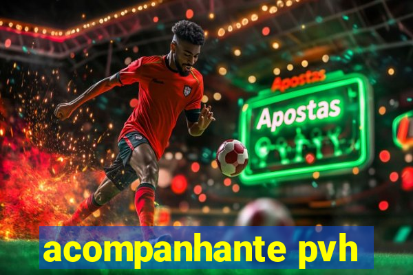 acompanhante pvh